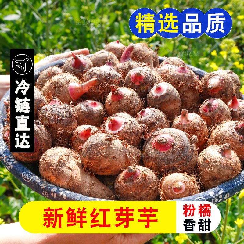 一篮新鲜红芽芋头