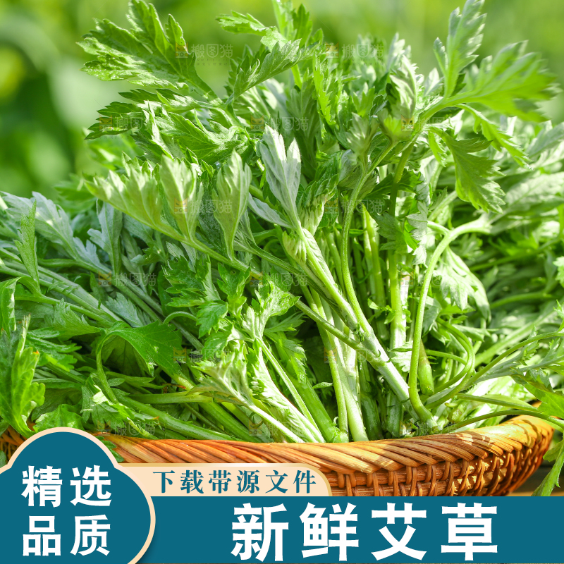 一篮新鲜艾叶
