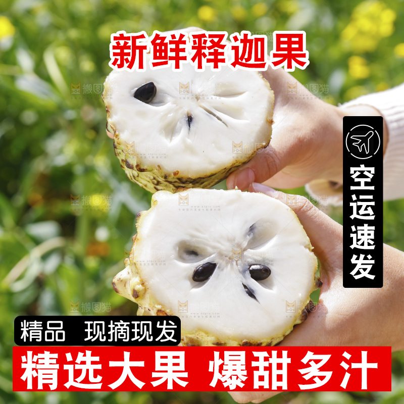 切开的牛奶释迦果
