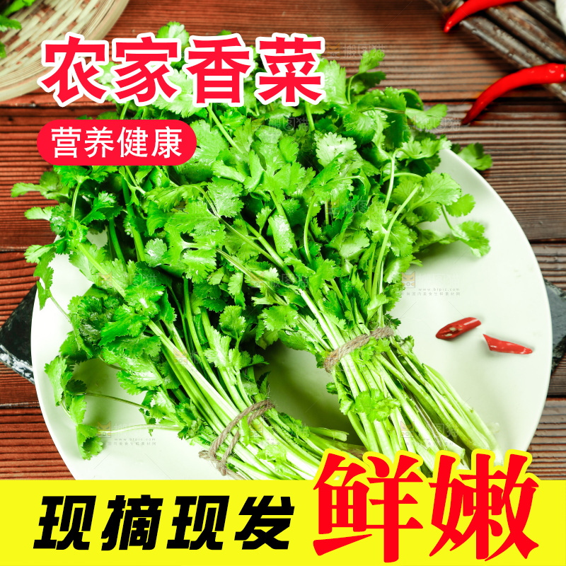 一盘小叶香菜