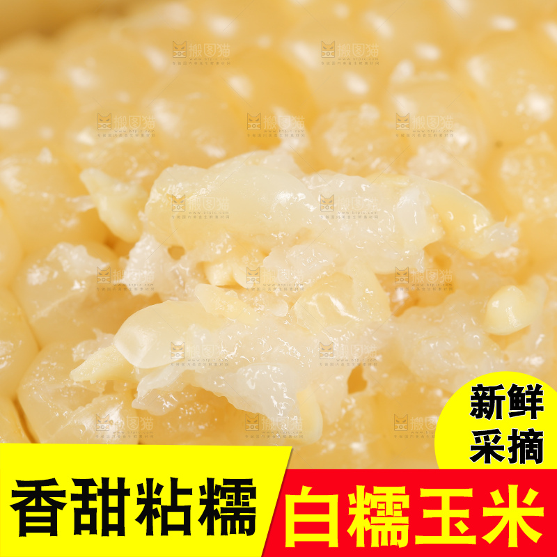 新鲜的甜糯玉米
