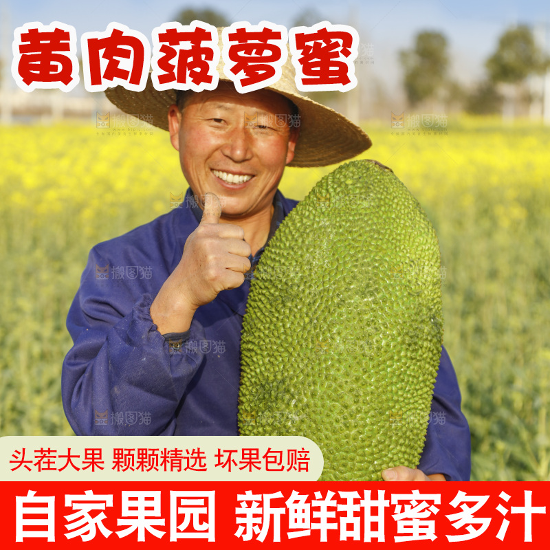 手里抱着海南菠萝蜜