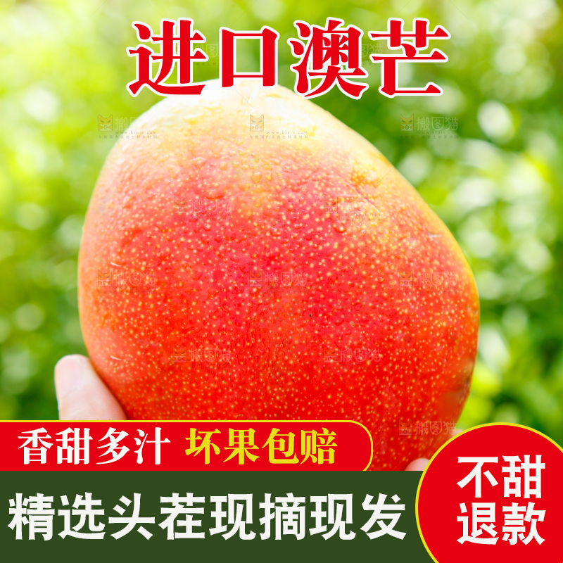 手里拿着澳芒