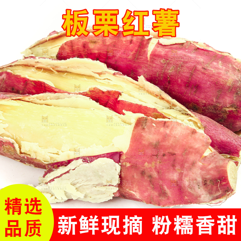 白底上放着沙地板栗红薯