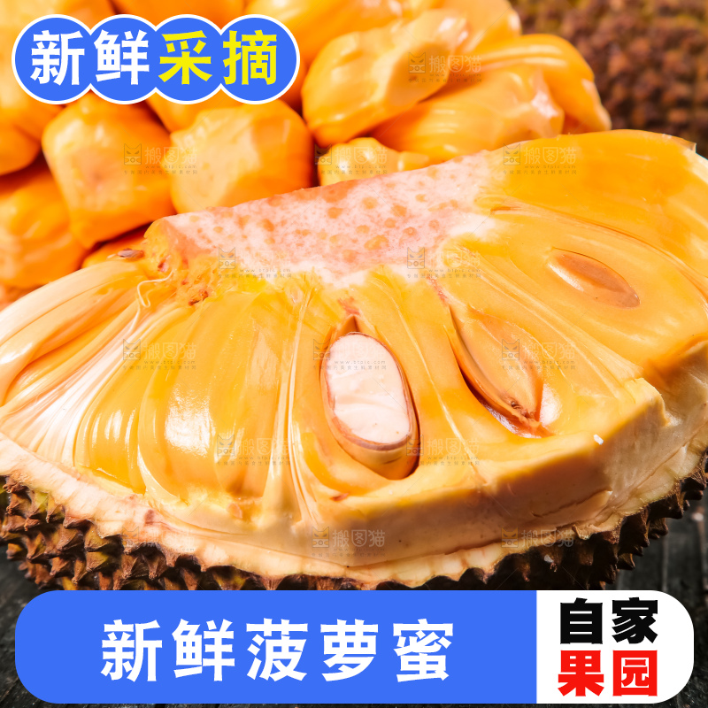 黑底上的进口红肉菠萝蜜