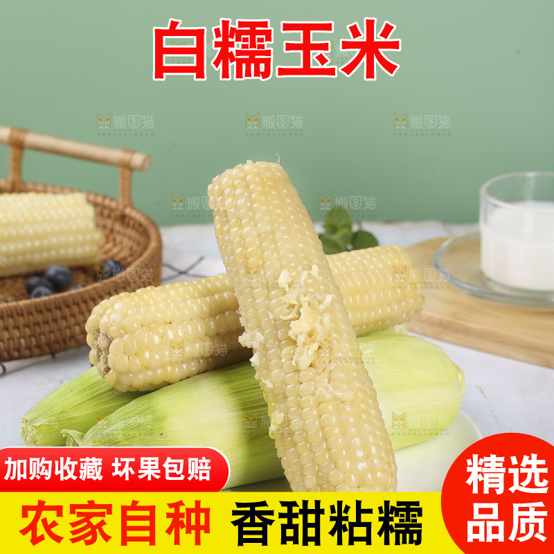 一盘白糯玉米
