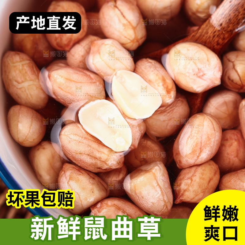碗里泡着花生米