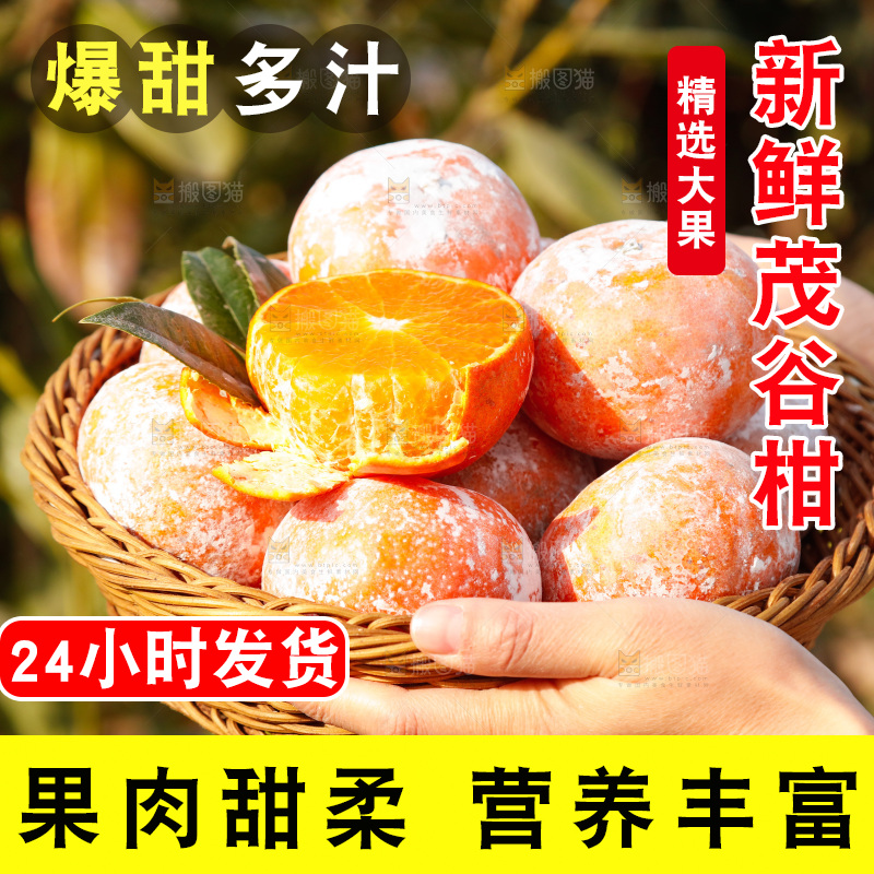 一篮新鲜茂谷柑