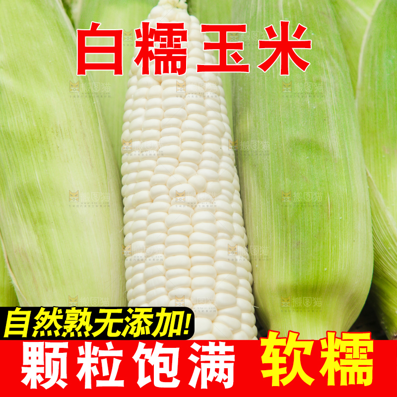 一篮新鲜白糯玉米