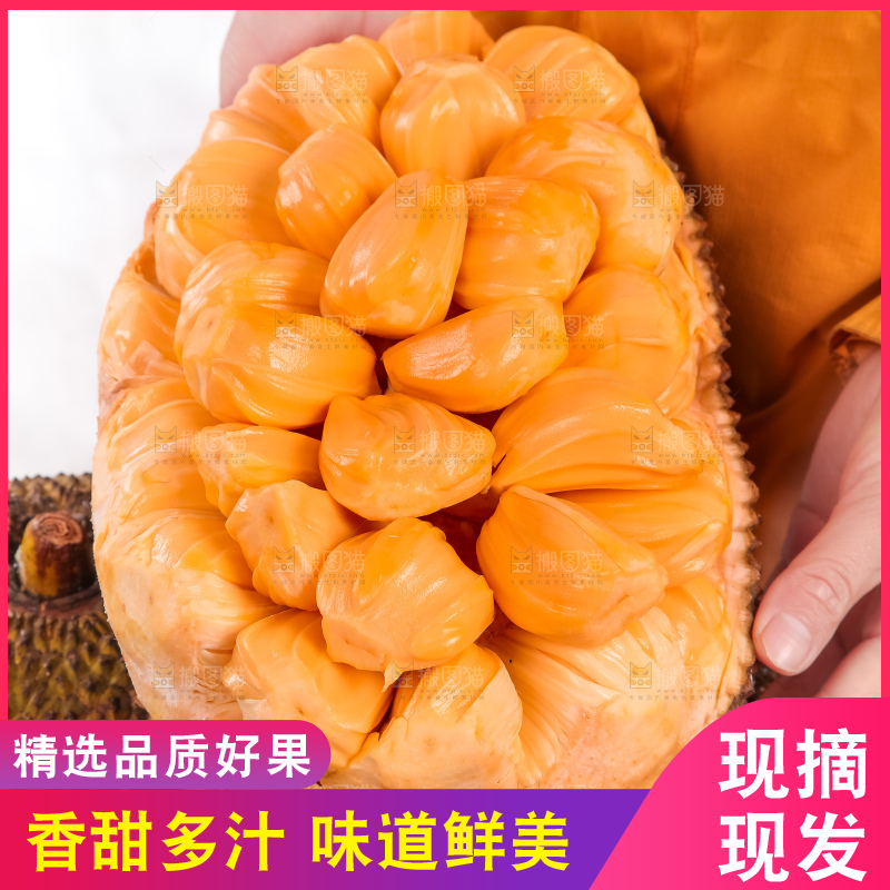 手里捧着红肉菠萝蜜