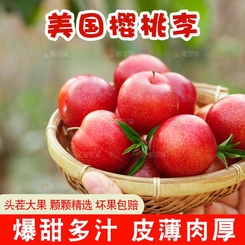 一篮智利樱桃李