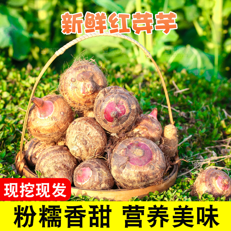 一篮红芽小芋头