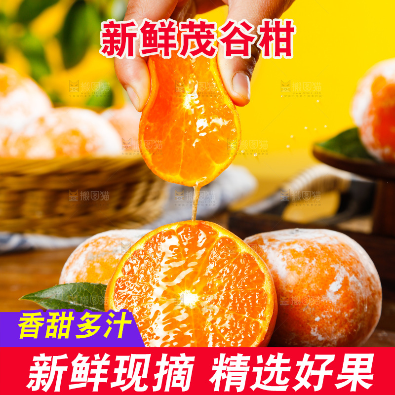 手里爆汁的茂谷柑
