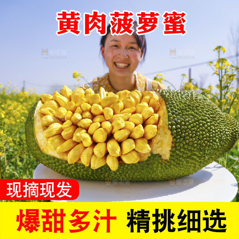 桌子上放着黄肉菠萝蜜