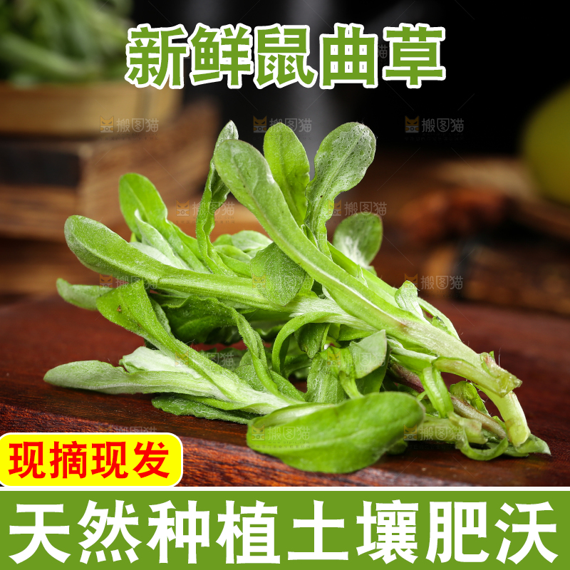 木底上的清明菜