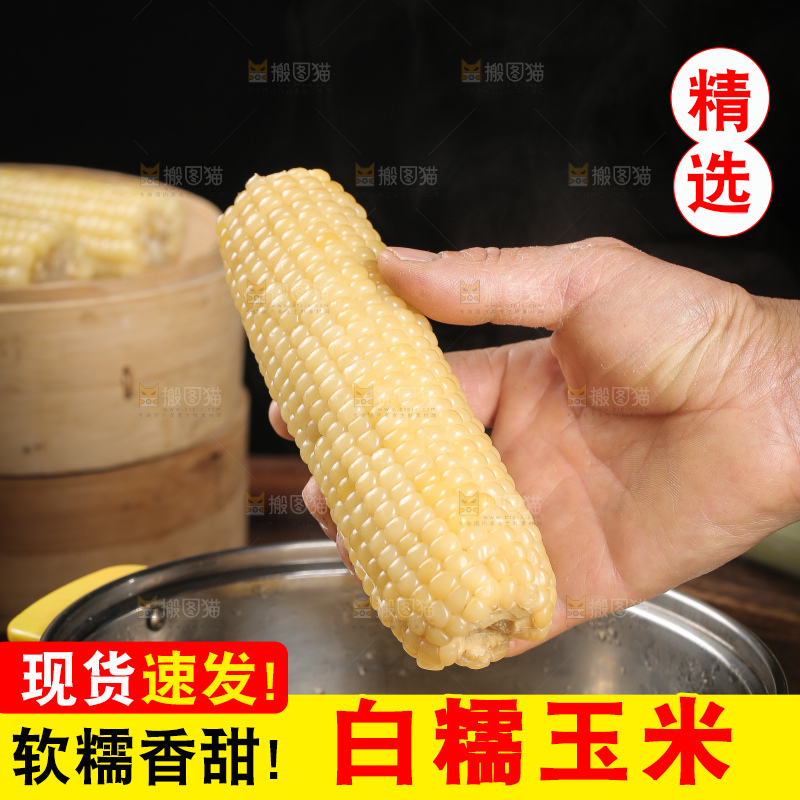 蒸熟的白糯玉米