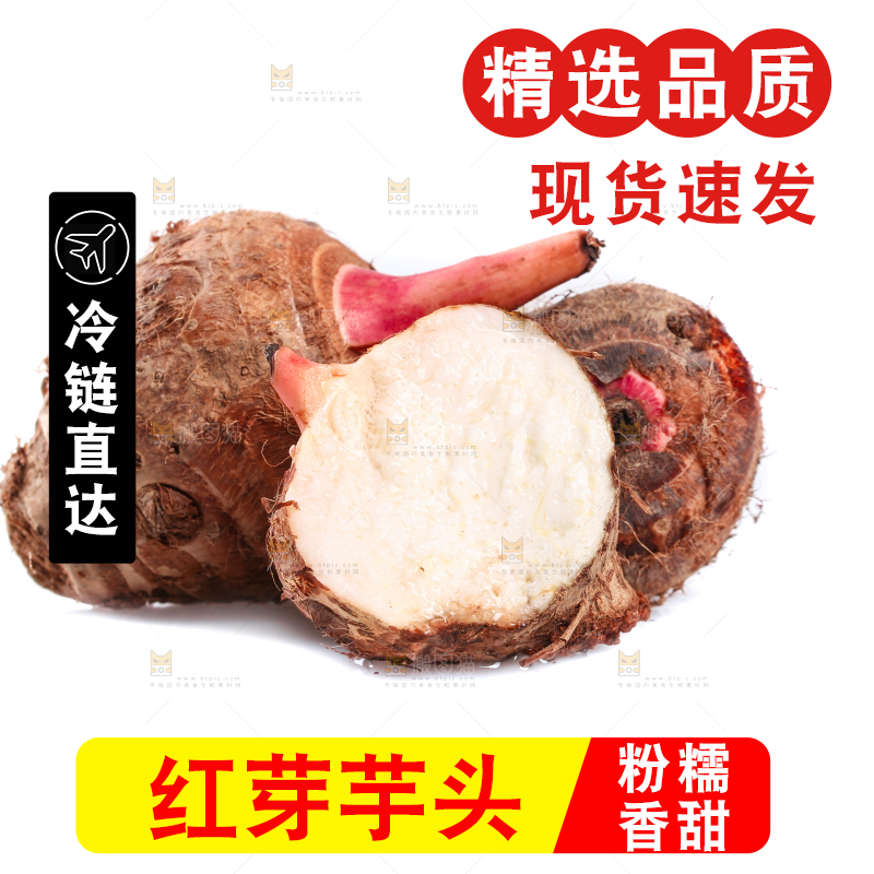白底上的广西红芽芋