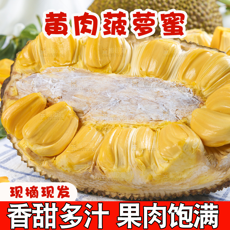 格子底上的海南黄肉菠萝蜜