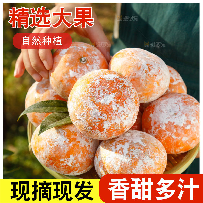 手里端着一篮广西茂谷柑