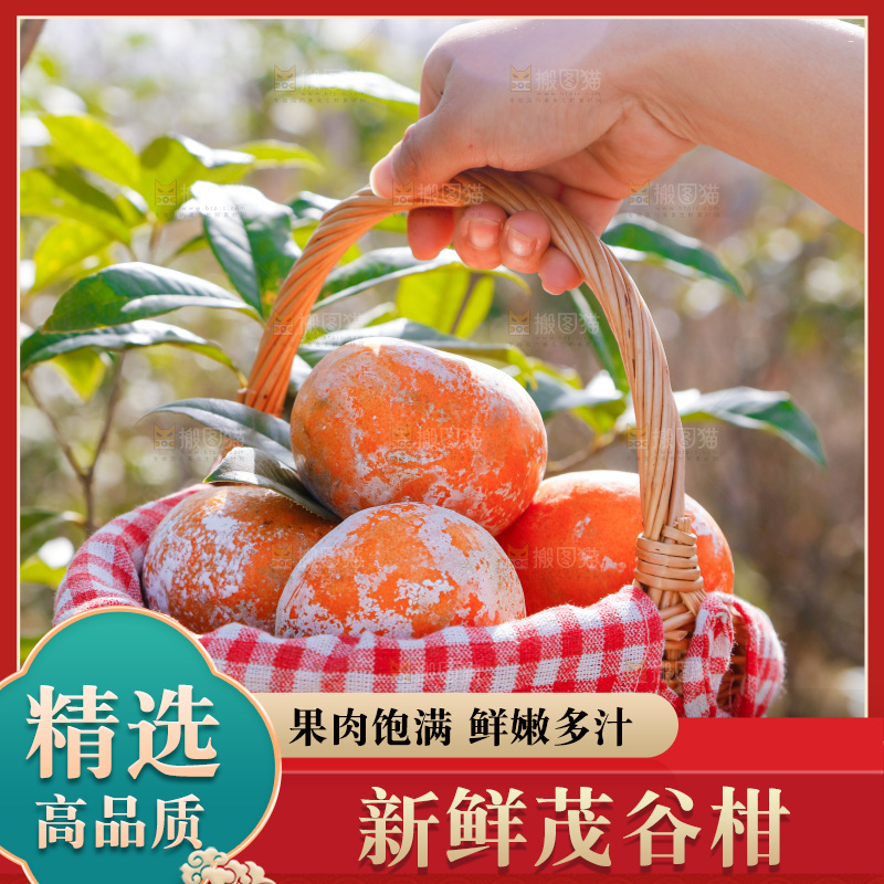 手里提着一篮茂谷柑