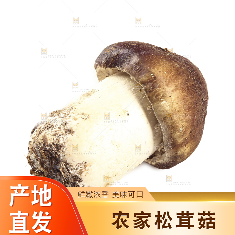 白底上放着松茸菇
