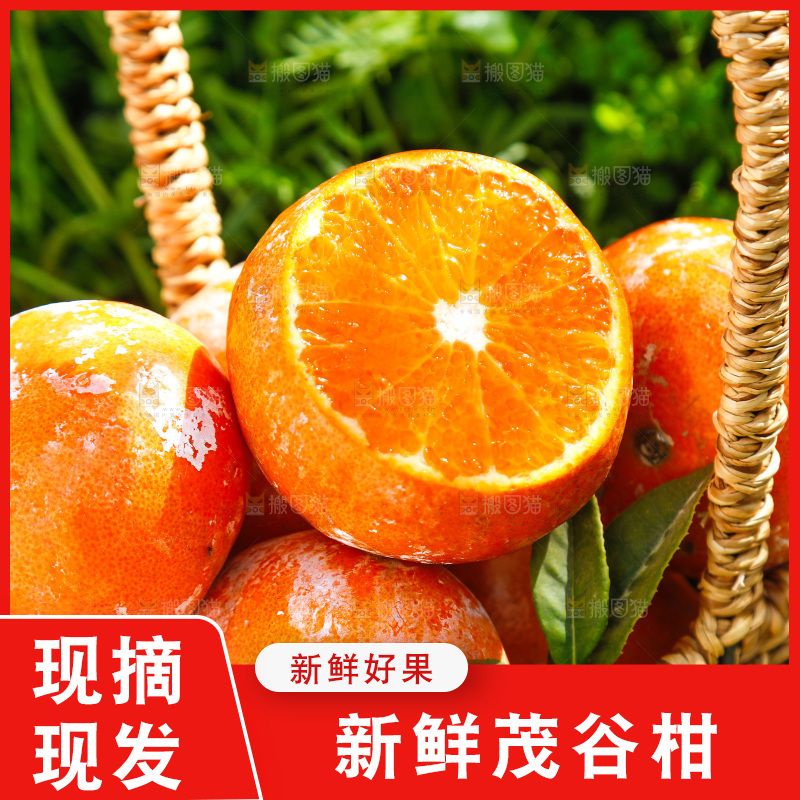 一篮新鲜茂谷柑