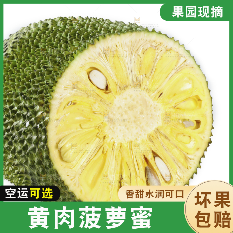 切开的黄肉菠萝蜜