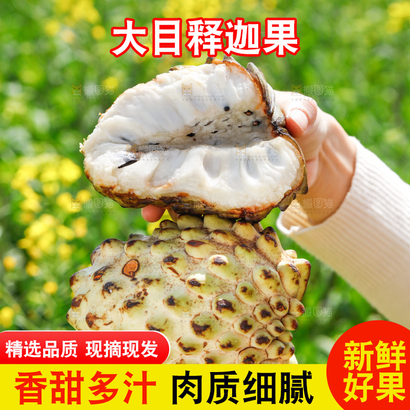 手里拿着释迦果