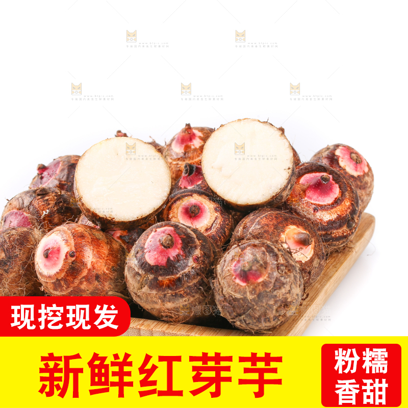白底上的广西红芽芋