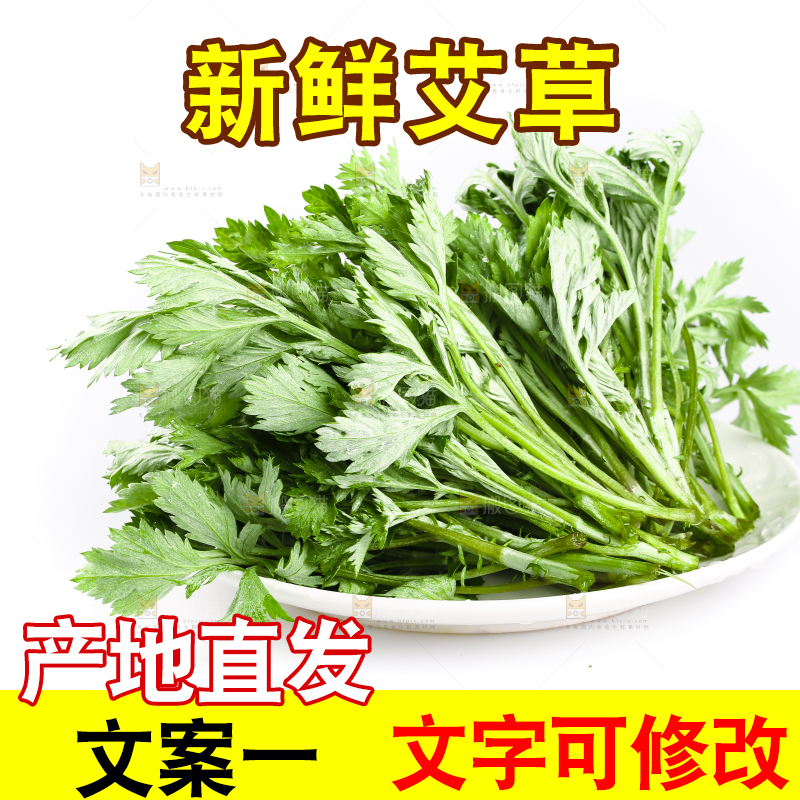 一盘嫩艾草摆放在白底上