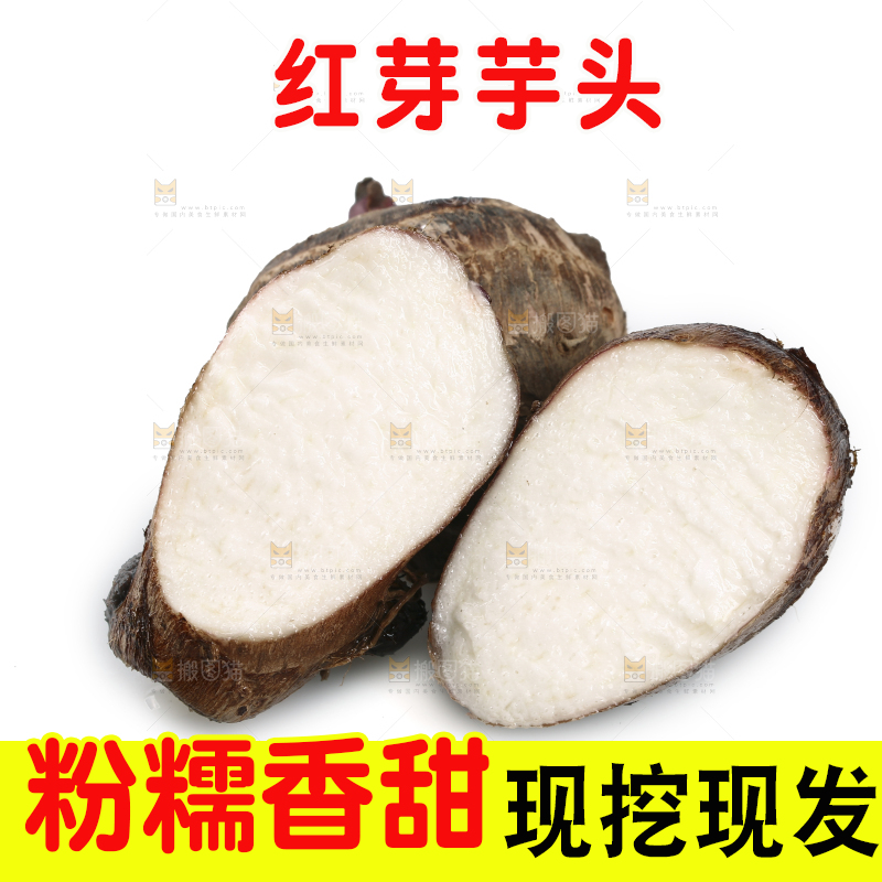 白底上的广西红芽芋
