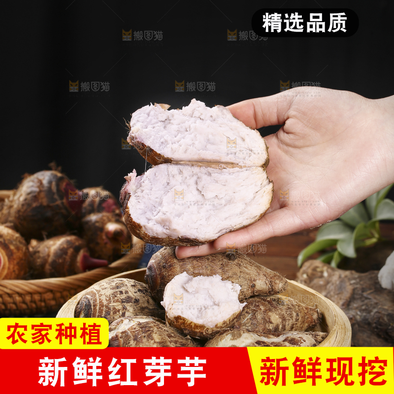 手里拿着熟的小芋头