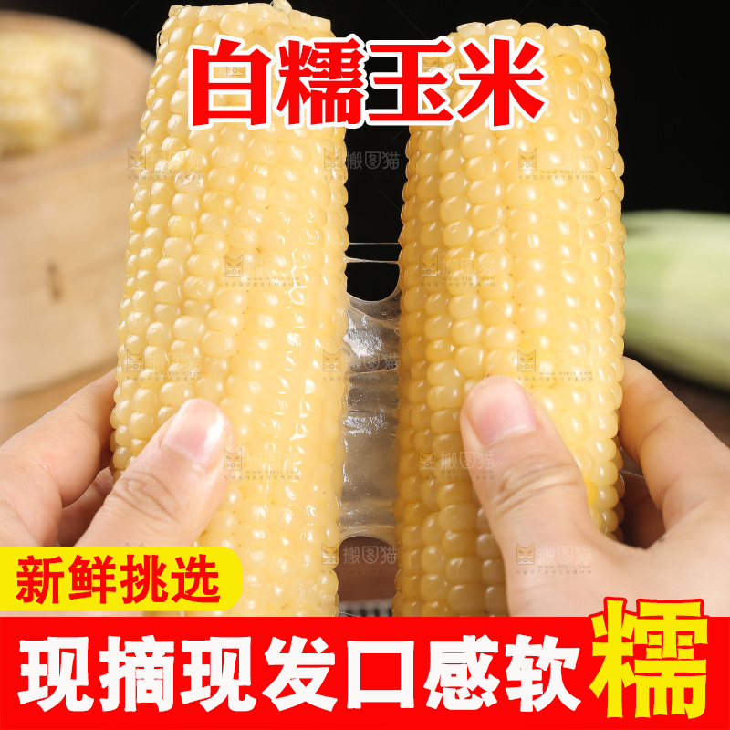 手里拿着白糯玉米棒