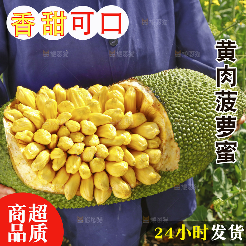 手里抱着黄肉菠萝蜜