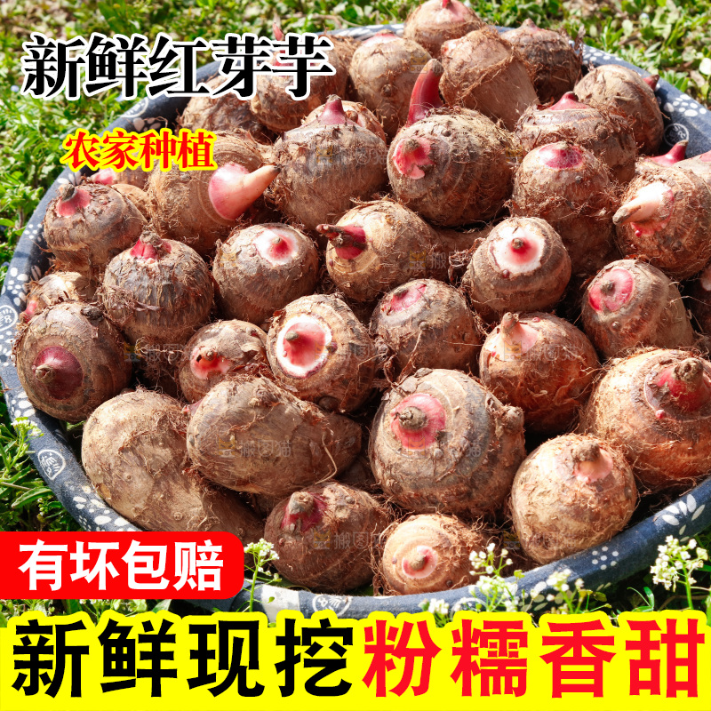 一篮新鲜红芽芋头