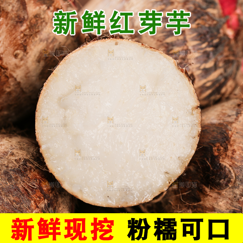 一篮红芽芋头