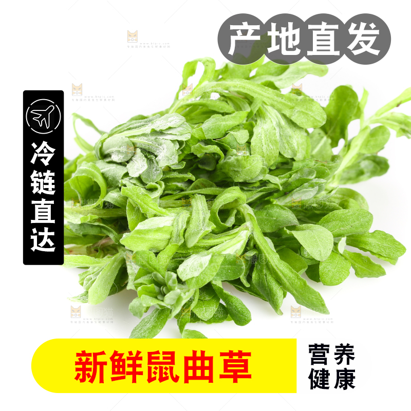 白底上放着清明草