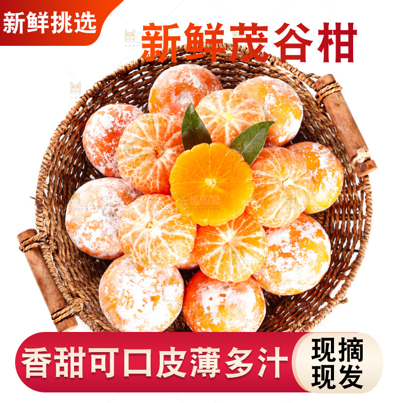 一篮广西茂谷柑