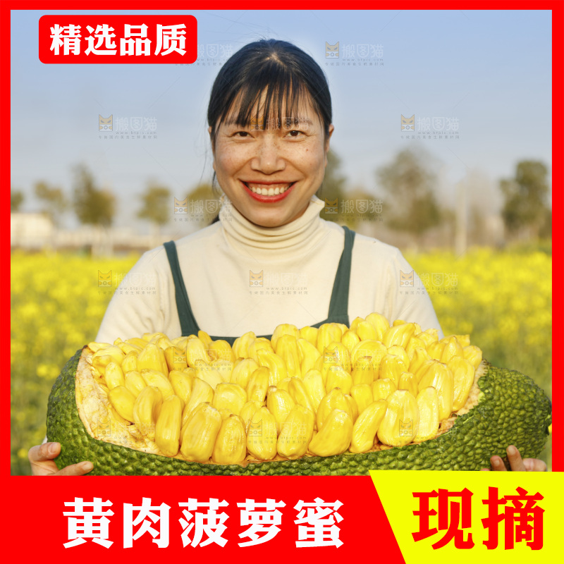 手里抱着黄肉菠萝蜜