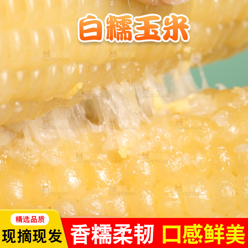手里拿着白糯玉米棒