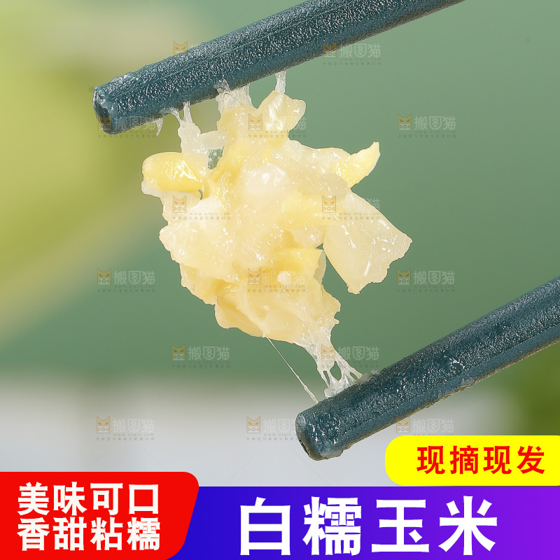 筷子上夹着糯玉米粒
