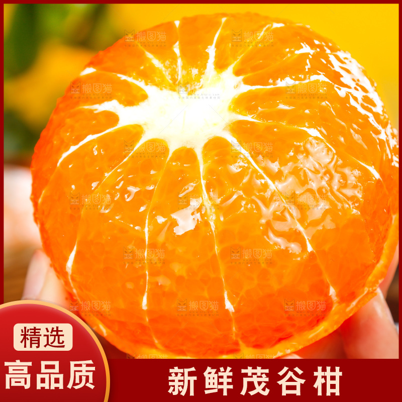 手里拿着茂谷柑