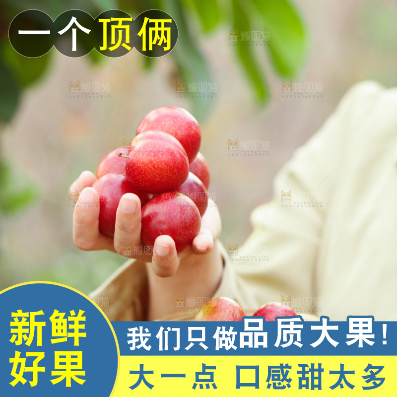 一篮智利樱桃李