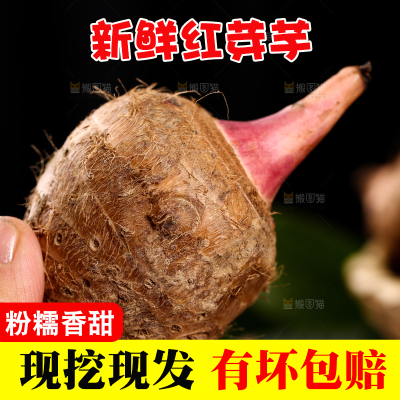 手里拿着红嘴芋头