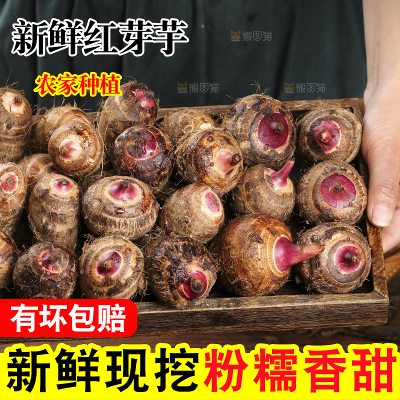 一盘广西红芽芋