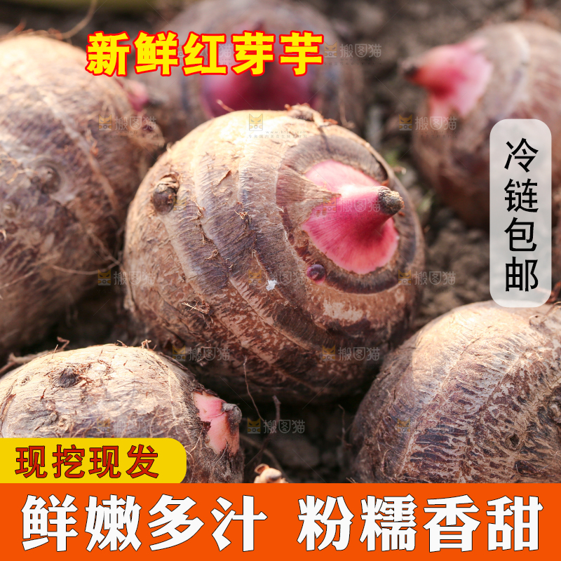 新鲜的红芽芋头
