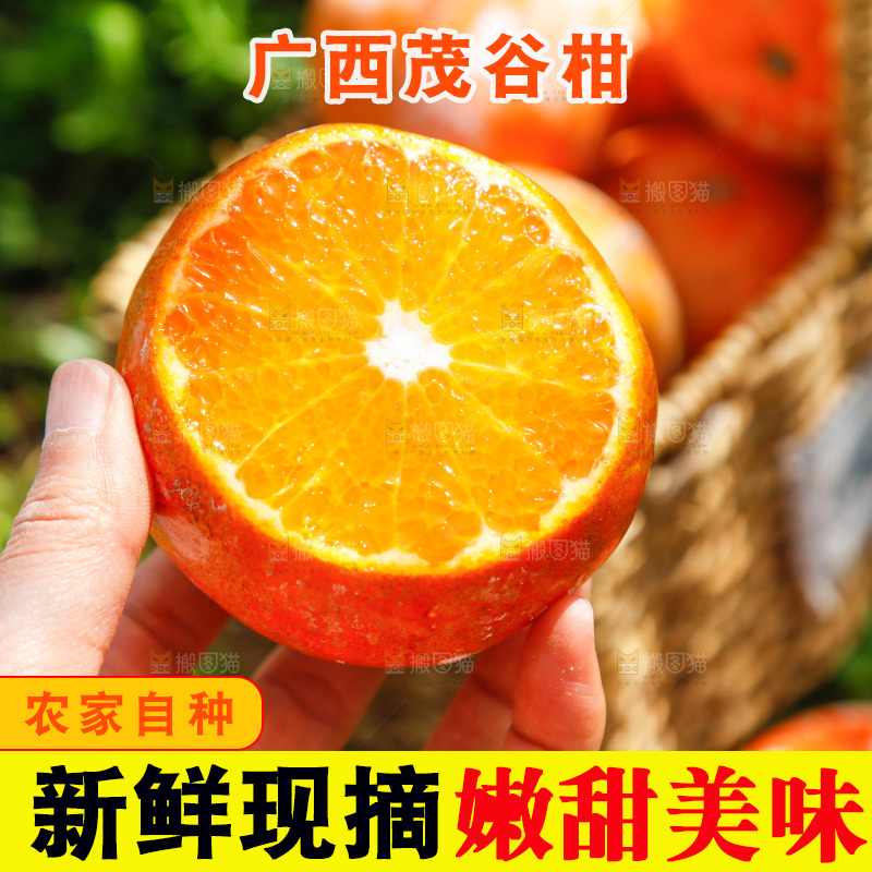 手里拿着切开茂谷柑