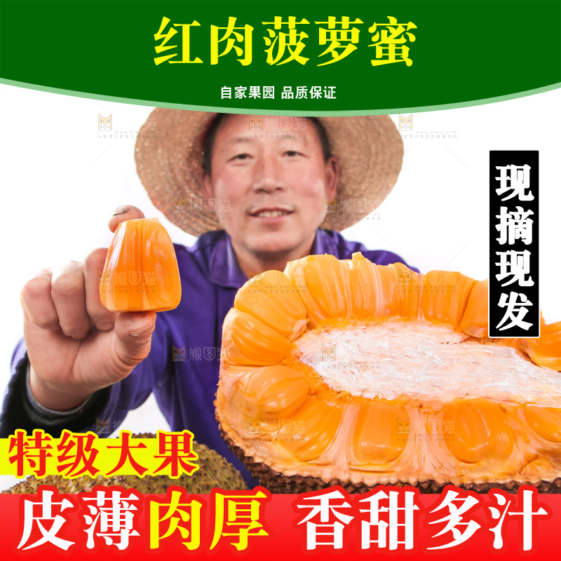 农民手里拿着红肉菠萝蜜