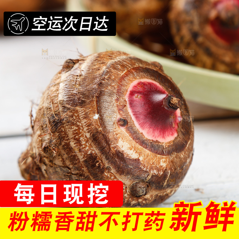 木底上放着红芽芋头