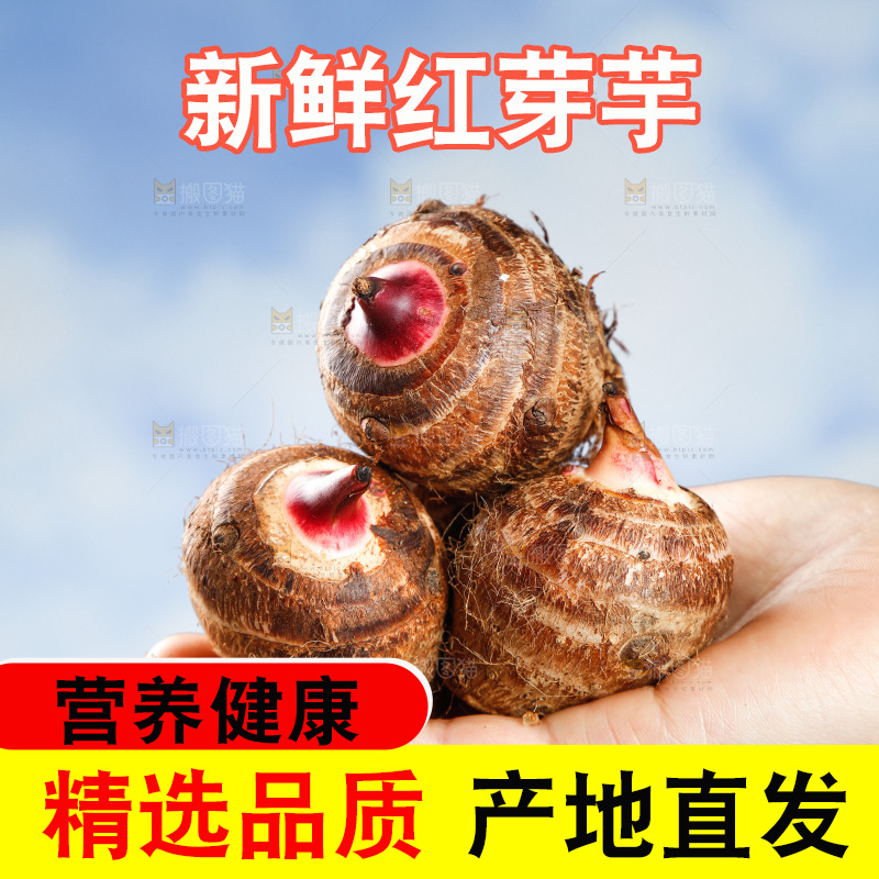 手里拿着红嘴芋头